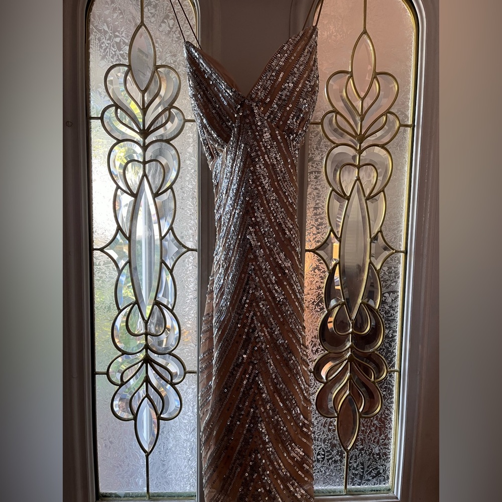 Windsor Nude/Silver Dress